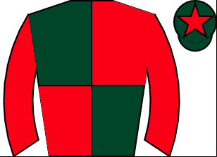 Horse silk
