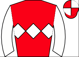 Horse silk