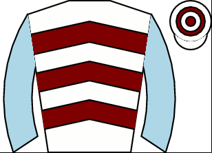 Horse silk