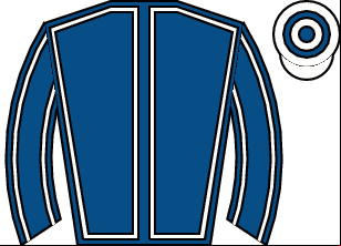 Horse silk