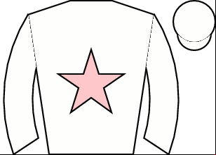 Horse silk
