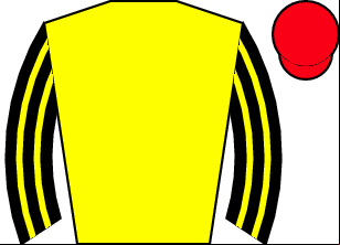 Horse silk