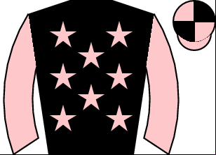 Horse silk