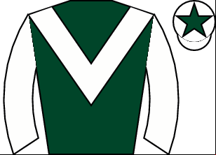 Horse silk