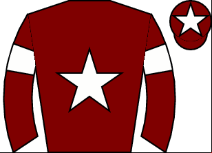 Horse silk