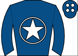 Horse silk