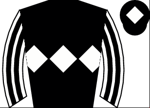 Horse silk
