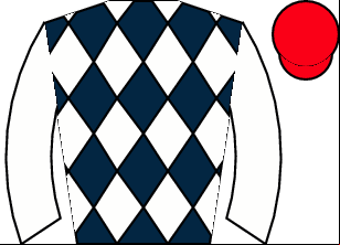 Horse silk