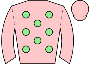 Horse silk