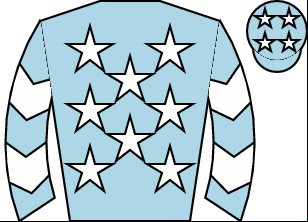 Horse silk