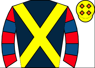 Horse silk
