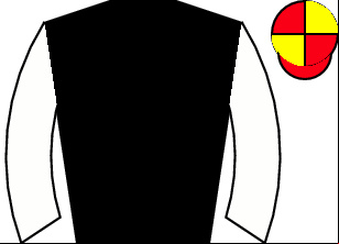 Horse silk