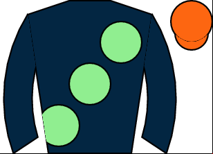 Horse silk