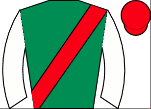 Horse silk