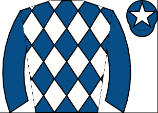 Horse silk