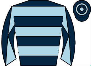 Horse silk