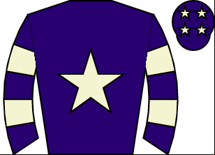Horse silk