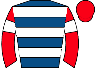 Horse silk