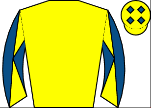 Horse silk