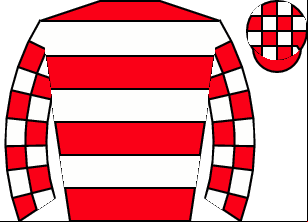 Horse silk