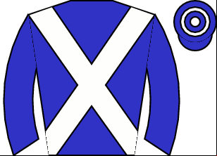 Horse silk