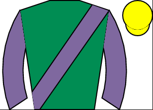 Horse silk
