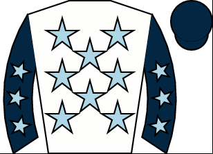 Horse silk