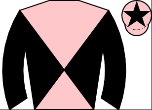 Horse silk