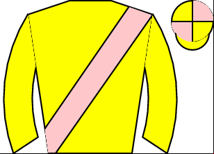 Horse silk