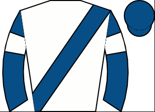 Horse silk