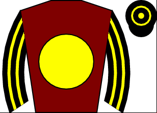 Horse silk