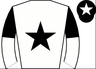 Horse silk