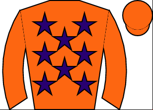 Horse silk