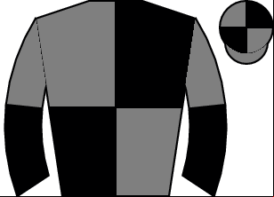 Horse silk