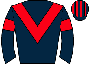 Horse silk