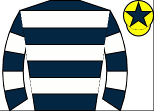 Horse silk