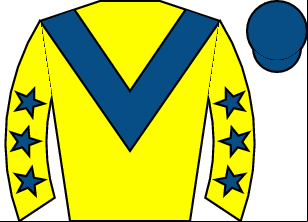 Horse silk