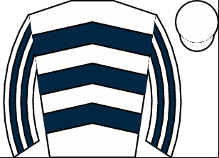 Horse silk