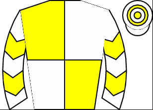 Horse silk