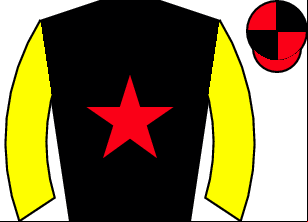 Horse silk