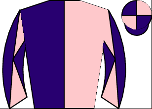 Horse silk