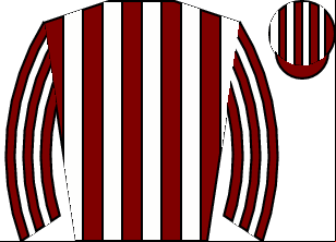 Horse silk