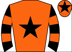 Horse silk