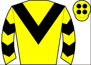 Horse silk