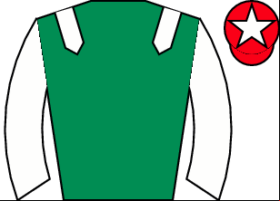 Horse silk