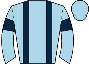 Horse silk