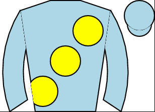 Horse silk