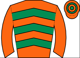 Horse silk