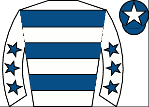 Horse silk