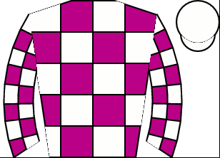 Horse silk